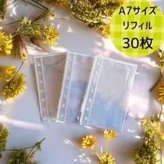 Item thumbnail for item 2c89b012-c7f9-436d-9e6b-16a58b4fff8f