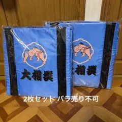 大相撲 折りたたみ座椅子 2セット バラ売り不可のサムネイル