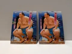 Item thumbnail for item ae74348f-8bad-4229-957c-69ce9b04ff88