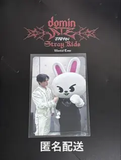 2026年最新】stray kids リノ トレカの人気アイテム - メルカリ