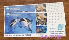 2026年最新】江ノ島水族館の人気アイテム - メルカリ