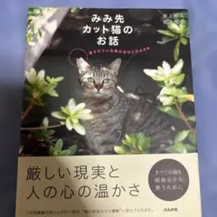 Item thumbnail for item 81be3241-c84b-409f-b369-a5b831f35a7f