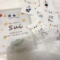 【A4サイズ】命名書￤選べるデザイン