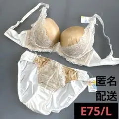 ブラショーツセット　E75 04のサムネイル