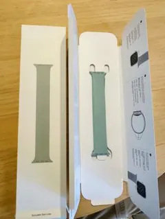 Apple Watch Solo Loop バンド ノーザンブルー