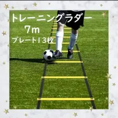 Item thumbnail for item dc6e72b7-502e-421b-bf86-e95732df1ce9