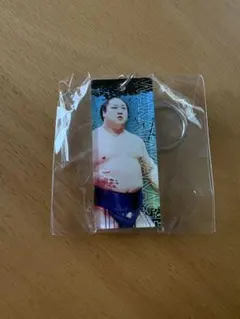 Item thumbnail for item 5915c9c3-09b7-4846-bae3-2d595a99c33c