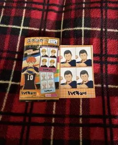 ハイキュー!! ステッカー 田中龍之介　セット