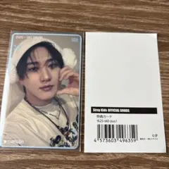 StrayKids チャンビン 特典カード