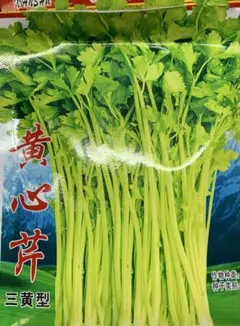 ash0715様 リクエスト 2点 まとめ商品