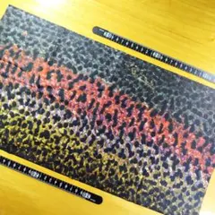 Item thumbnail for item 065fc1b3-46a6-4bbe-b32e-bfb5e35c70fc