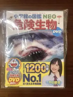 Item thumbnail for item 17fbb055-5dc5-4b24-9e74-dac3cbc28468