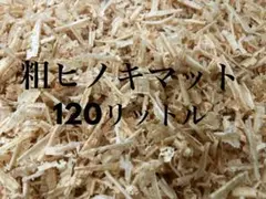 Item thumbnail for item 52b0ea15-2d1e-4b5f-80f8-873109f94a02