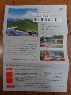 【日本駐車場開発】株主優待1000株 1冊 NPD