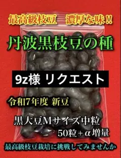 9z様 リクエスト 4点 まとめ商品