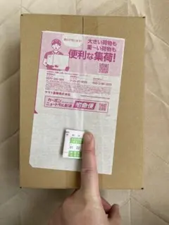 ポケモン MEGA ハイクラスパック MEGAドリームex BOX