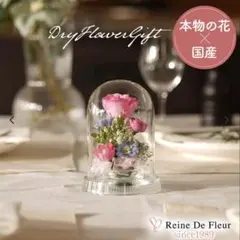 raine De fleurプリザーブドフラワー ガラスドーム入り バラ raine De fleurプリザーブドフラワー ガラスドーム入り バラ - メルカリ