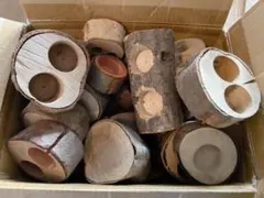 Item thumbnail for item b932b3c3-30ac-4dd3-8918-71baf8b36535