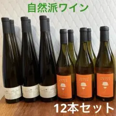 自然派ワイン　12本セット　フランス　白ワイン　オレンジワインのサムネイル