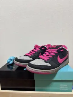 NIKE DUNK LOW PREMIUM SB QS DISPOSABLE