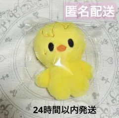 2026年最新】SKZoo 10cm ぬいぐるみ ポガリの人気アイテム - メルカリ