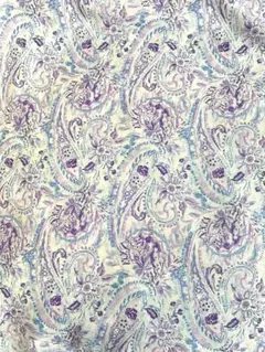 Item thumbnail for item ac95b608-66ea-433d-b038-920a2e55a988