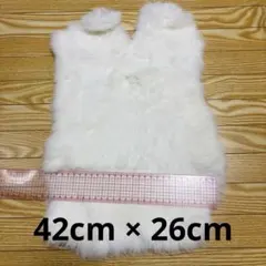 2026年最新】毛皮 ラグの人気アイテム - メルカリ