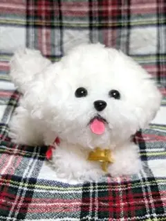 Item thumbnail for item 988293d0-1652-42e7-b4f7-72c14ed6544d