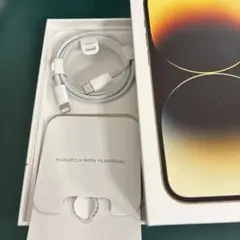 iPhone USB-C to Lightningケーブル