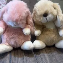 Timelesz 篠塚大輝 トレカ うさぎ ぬいぐるみ タイムレス セット