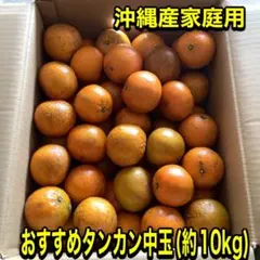 沖縄産おすすめ家庭用タンカン(中玉) 10kg