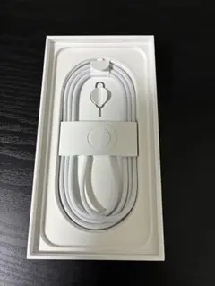 iPhone16eおよびUSB-C充電ケーブル