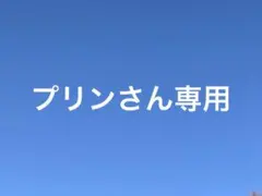プリンさん専用★ボンマックス　事務服・スーツ　スカートのみ　レディース7号のサムネイル