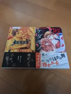 悠妃りゅう 漫画 2冊セット