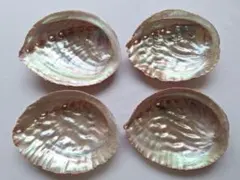 と6　日本海産天然あわび貝殻4個まとめ売り♪送料込み♪