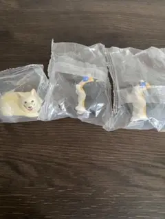 こぎさんぽ