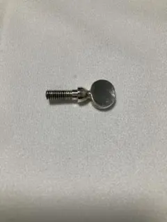 Item thumbnail for item 9f1b946b-2ae4-47d4-8d9d-f98c7921b271