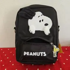 ポーチ　スヌーピー