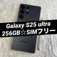 Galaxy S24 ultra 1TB チタニウムバイオレット e06 - メルカリ