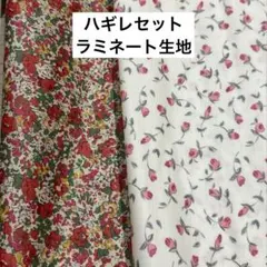 Item thumbnail for item f5d9ceb3-2bdc-41da-83cd-326c03afbdea