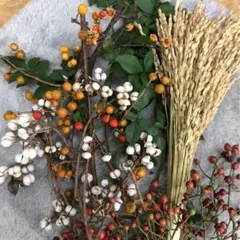 花材　お正月飾りの材料　紅白の実