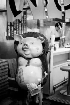 Item thumbnail for item 527d2876-69b4-4168-83d2-ea32ef4d1d35