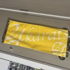 Item thumbnail for item 061a4644-701c-4f40-9583-3655b6a01bdf