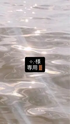 ⟡.·様 専用