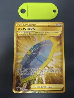 ポケモンカード ビッグパラソル URのサムネイル