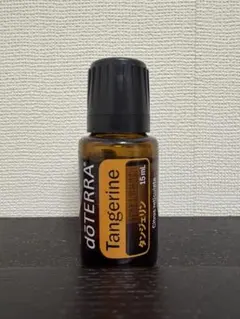 2026年最新】ﾄﾞﾃﾗの人気アイテム - メルカリ