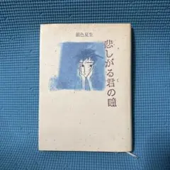 初版　悲しがる君の瞳 銀色夏生 中古本