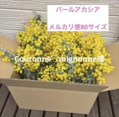 ミモザ　パールアカシア フレッシュ　80サイズ(保水あり) 【2箱分】