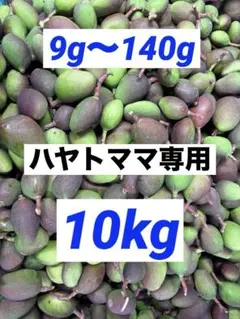 摘果マンゴー　17kg箱込み 摘果ブルーマンゴー⭐︎宮崎県産 (Mサイズ)17kg - メルカリ