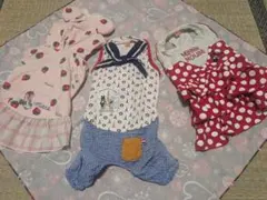 ミニーマウス フリル付きドレス 赤水玉　小型犬用DSサイズ